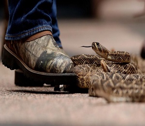 What type boots prevent snake bites